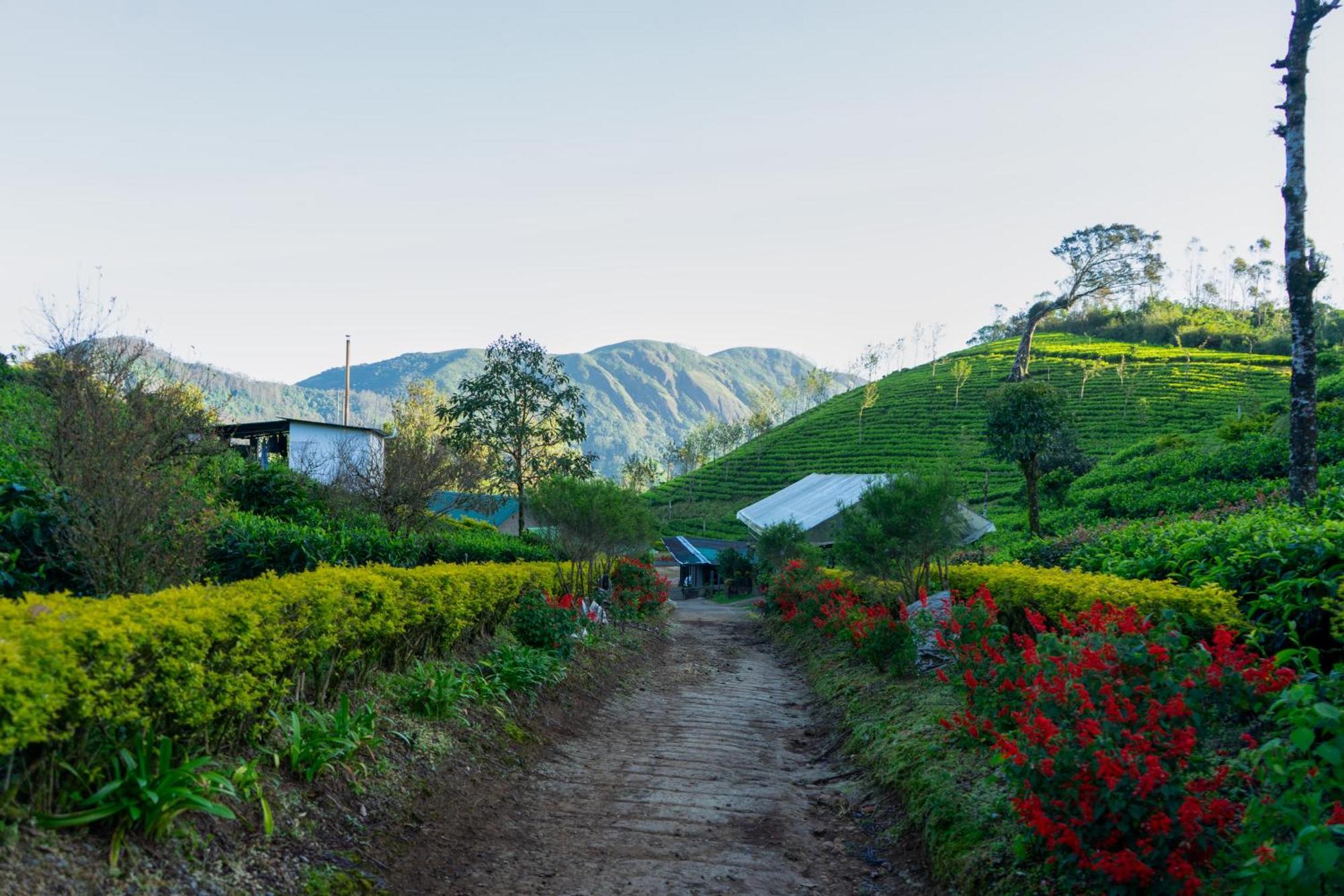 Camelot Resort Munnar Buitenkant foto
